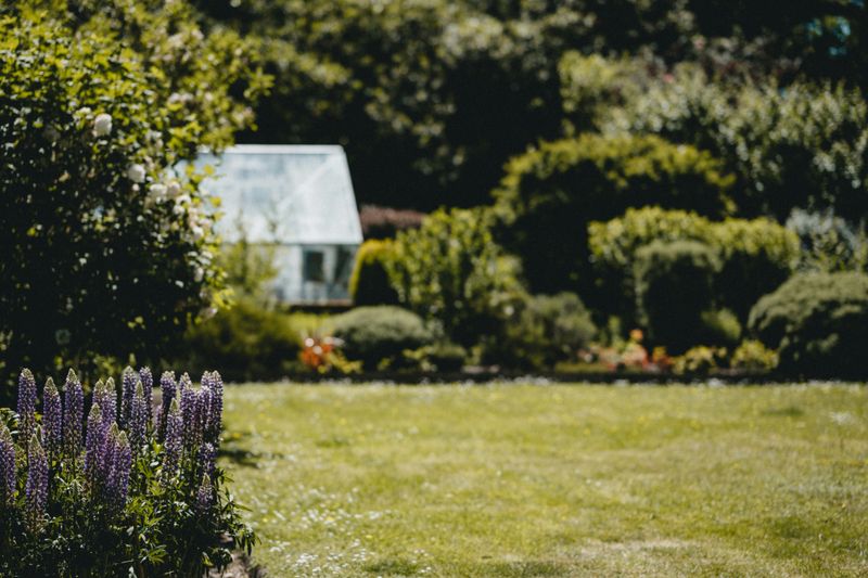 Landscaping in Valhalla